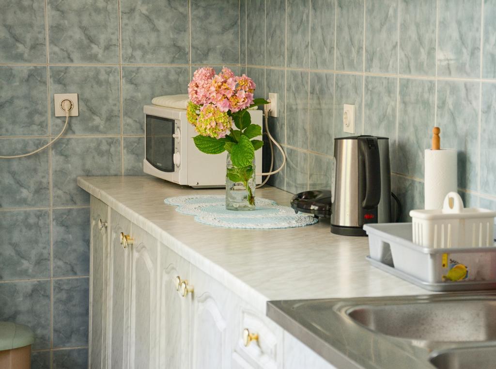 Apartman Josipa Drežnik Grad Dış mekan fotoğraf